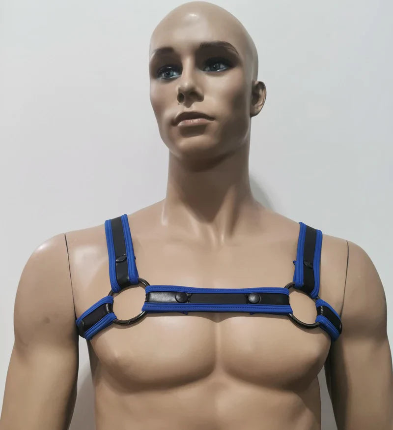 Blue and black leather neoprene bulldog harness with circular metal rings for secure and stylish pet control