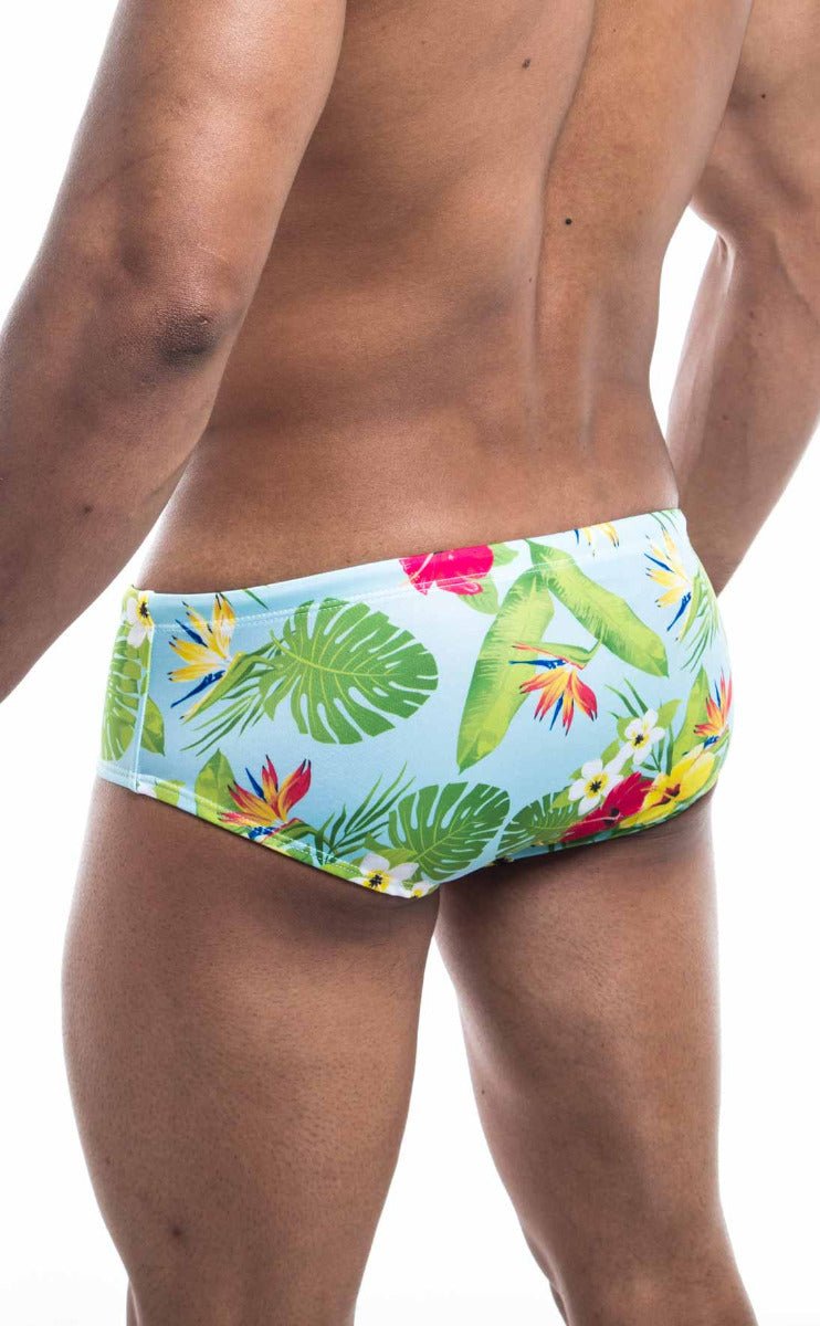 Oceanico swim brief featuring light blue tropical print with green monstera leaves red and yellow bird of paradise flowers and white frangipani blossoms