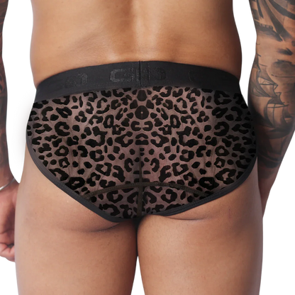 Sheer leopard print briefs with black trim and a wide, logo-branded elastic waistband.