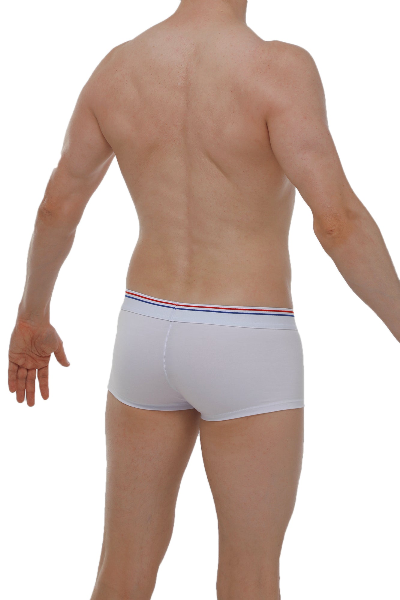 White petitq boxer linay briefs made of modal with a red white and blue striped waistband front view