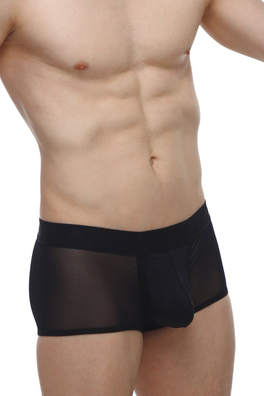 Petitq boxer oncieux black sheer mesh briefs with solid black waistband front view