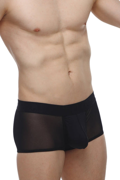 Petitq boxer oncieux black sheer mesh briefs with solid black waistband front view