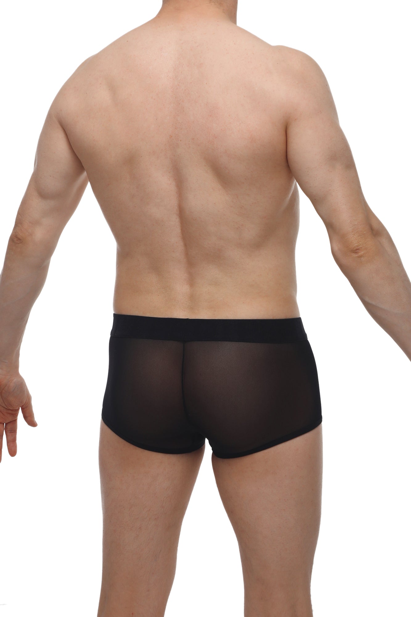 Black sheer mesh briefs with solid black waistband petitq boxer oncieux black front view
