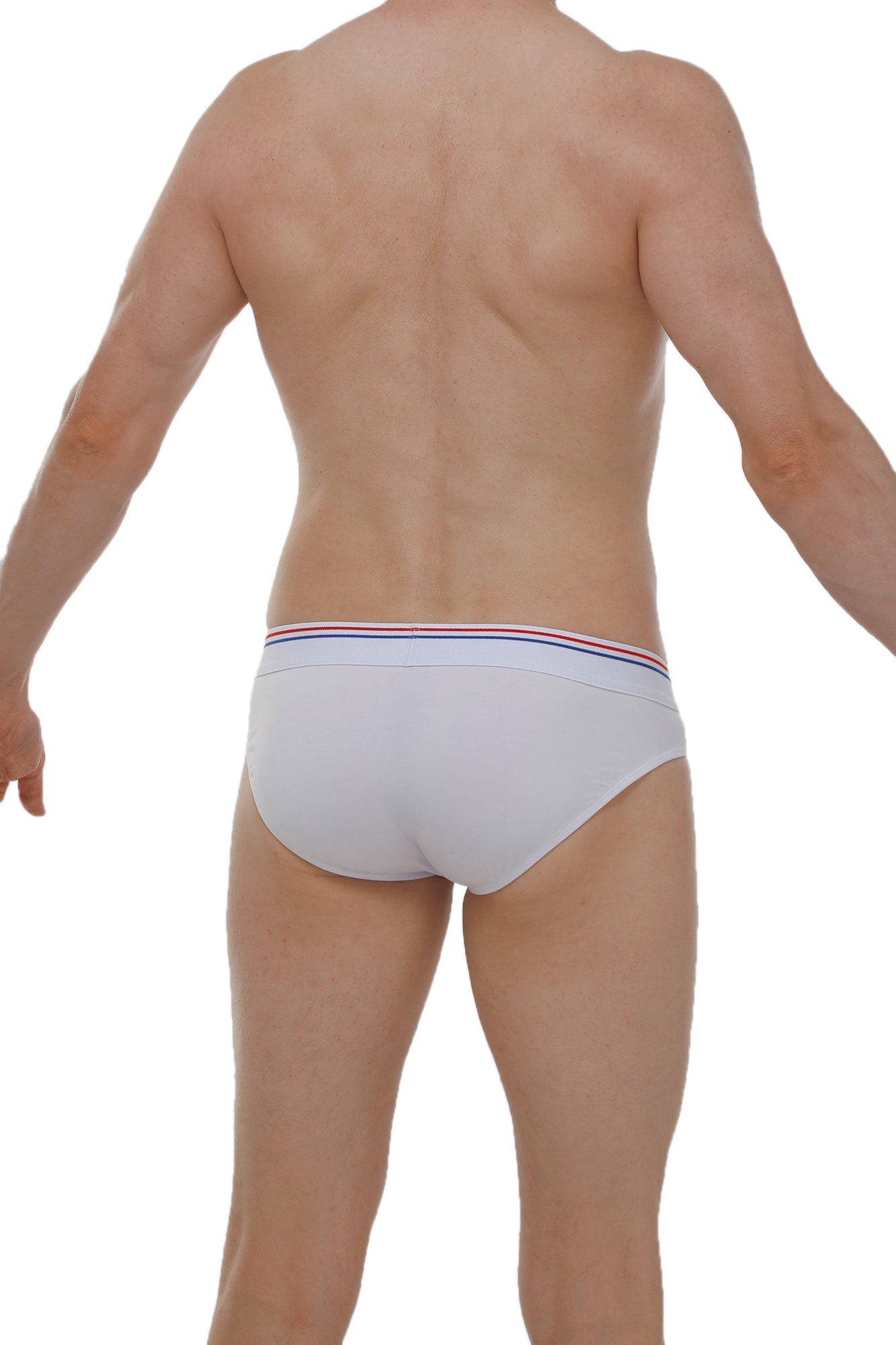 White briefs with red white and blue striped waistband made from modal fabric petitq brief protruder modal white