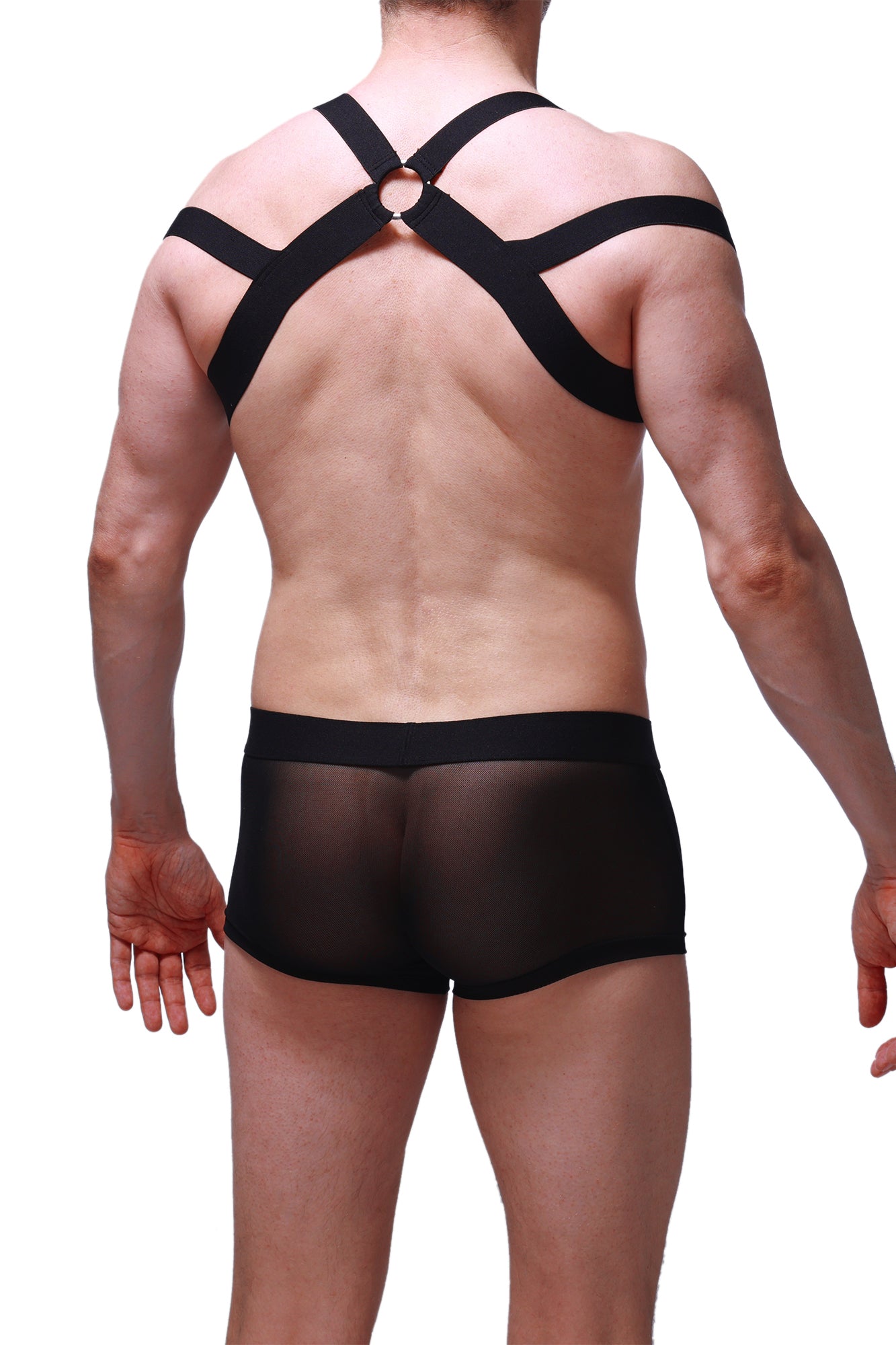 Black sheer mesh briefs with matching black cross-back harness strap system shown from the back view