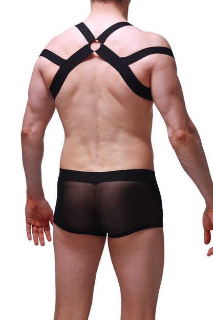 Black sheer mesh briefs with matching black cross-back harness strap system shown from the back view