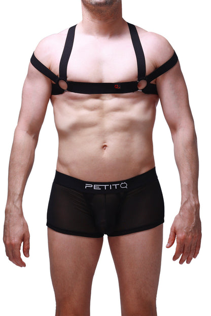 Black mesh briefs with petitq branded waistband part of petitq chest harness louens black collection