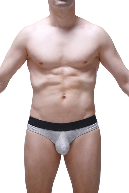 Silver metallic briefs with black elastic waistband made of modal fabric from petitq thong dome grey collection