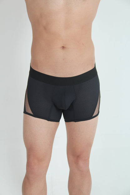 Tulio Mesh Panel Trunk Underwear - Black