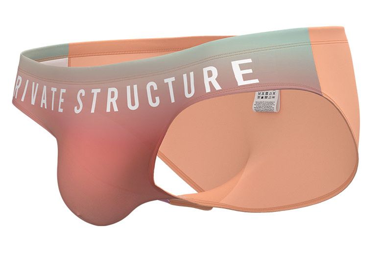 Pastel peach and mint gradient fabric briefs with private structure branding on the waistband in orange color