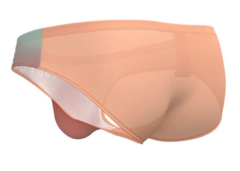 Peach-colored sheer mesh briefs with subtle gradient trim and reinforced waistband from private structure bare bikini