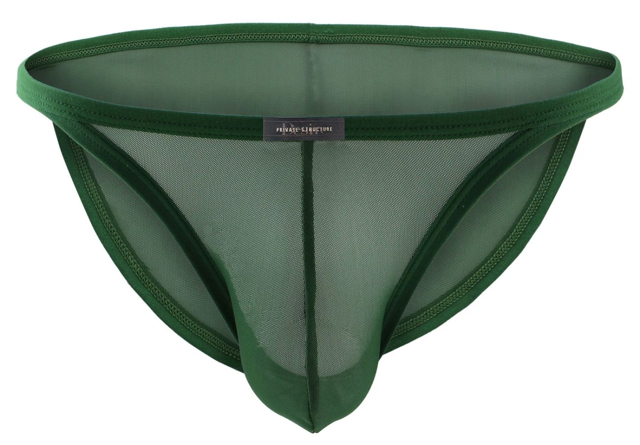 Dark green mesh thong with solid fabric waistband and leg openings from private structure desire intima low rise bikini