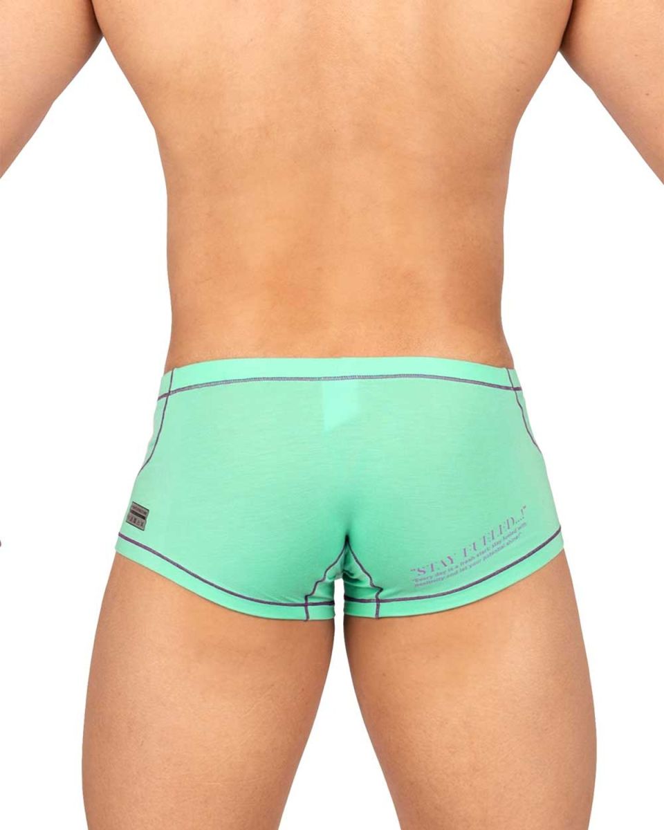 Mint green athletic briefs with black trim and brand tag on left side from private structure epus4570 prime elysian hipster cyan