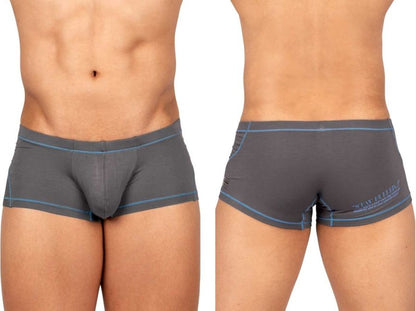 Gray mens hipster briefs with light blue trim and subtle logo on the back by private structure epus4570 prime elysian
