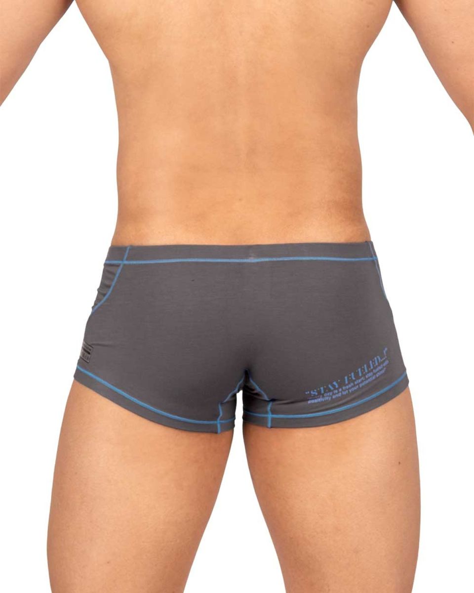 Gray private structure epus4570 prime elysian hipster briefs with blue trim and subtle logo on the side