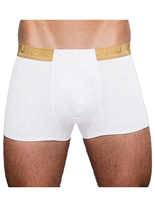 White boxer briefs tartarus monaco trunk with gold elastic waistband embossed with horseshoe patterns