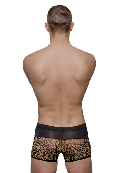 Leopard-print briefs with black elastic waistband and trim from tartarus peakaboo trunk collection
