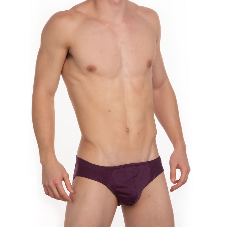 Undergear contour french brief in purple with smooth fitted design for comfortable everyday wear