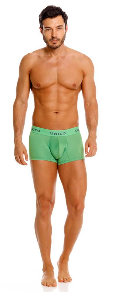 Green unico men’s briefs frog trunks with snug fit elastic waistband in color 43 green front view