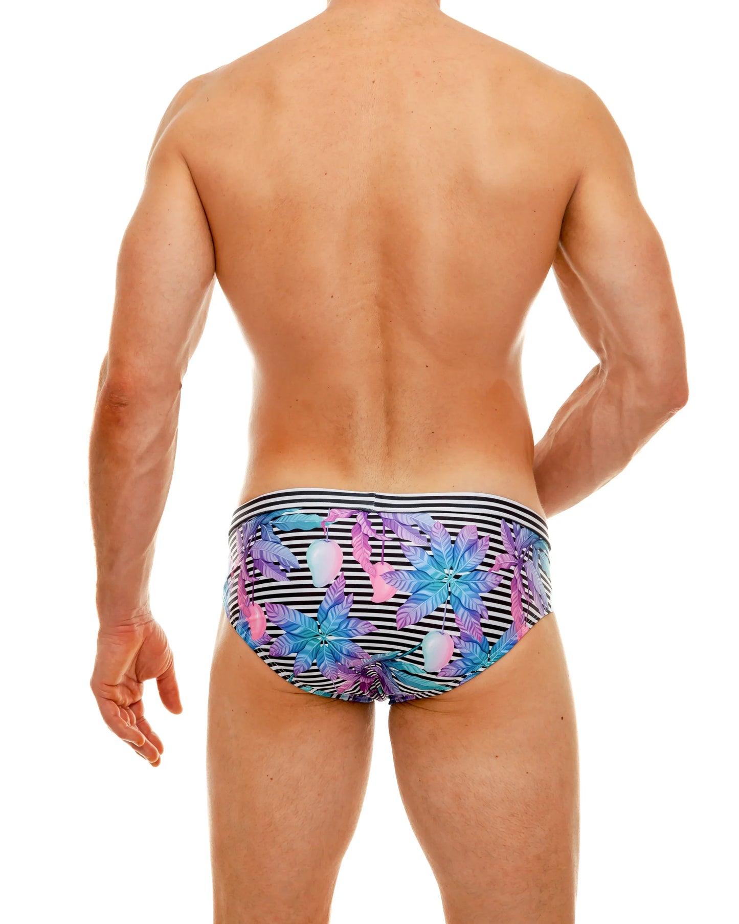 Wild mango swim brief with vibrant tropical print and bold black and white striped waistband for beachwear