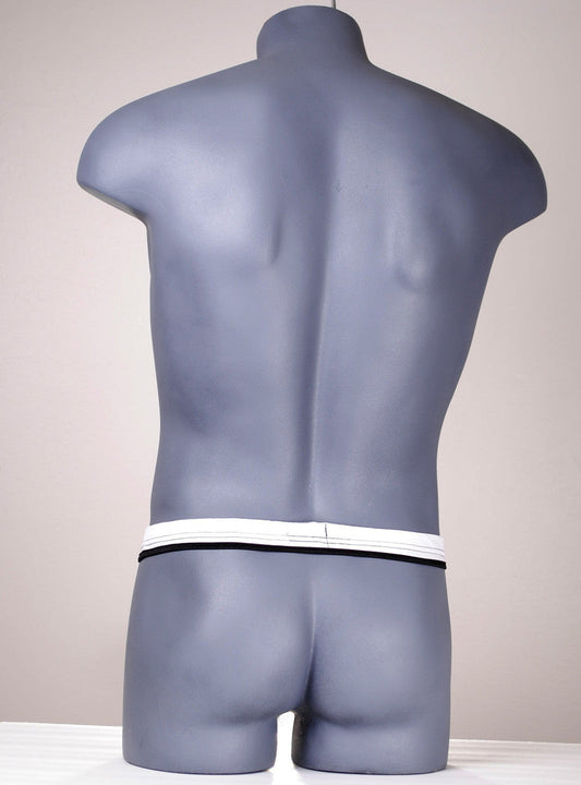White and black thong on a grey male mannequin torso, showing the slim waistband from the back.