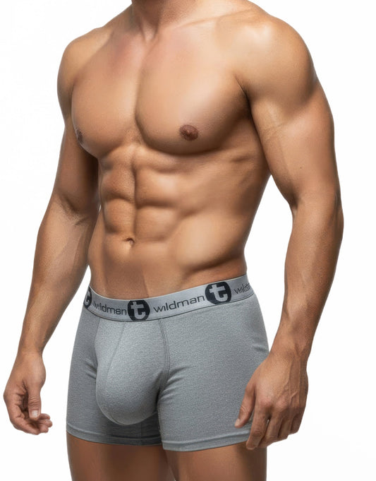 Gray wildman modal big boy pouch 5 inch inseam boxer briefs with branded elastic waistband for men