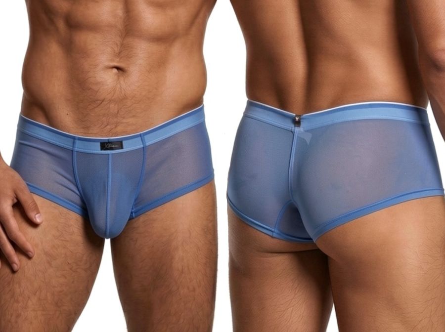 Xtremen blue sheer mesh bikini briefs with a fitted cut, elastic waistband, and center back seam detail.