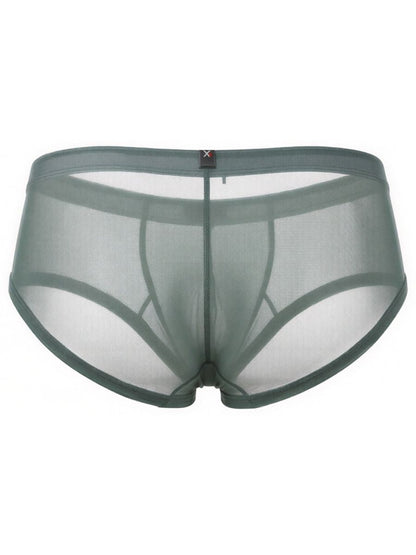 Xtremen sage green sheer mesh bikini brief with a slim waistband and logo tab.