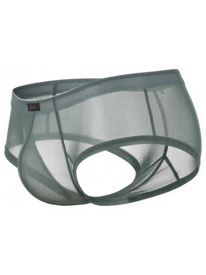 Xtremen sage green sheer mesh bikini brief with a contoured fit and branded logo tab.