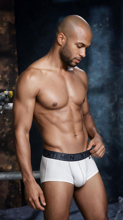 Xtremen 91273 Men's Underwear Sleek Athletic Microfiber Briefs Color White