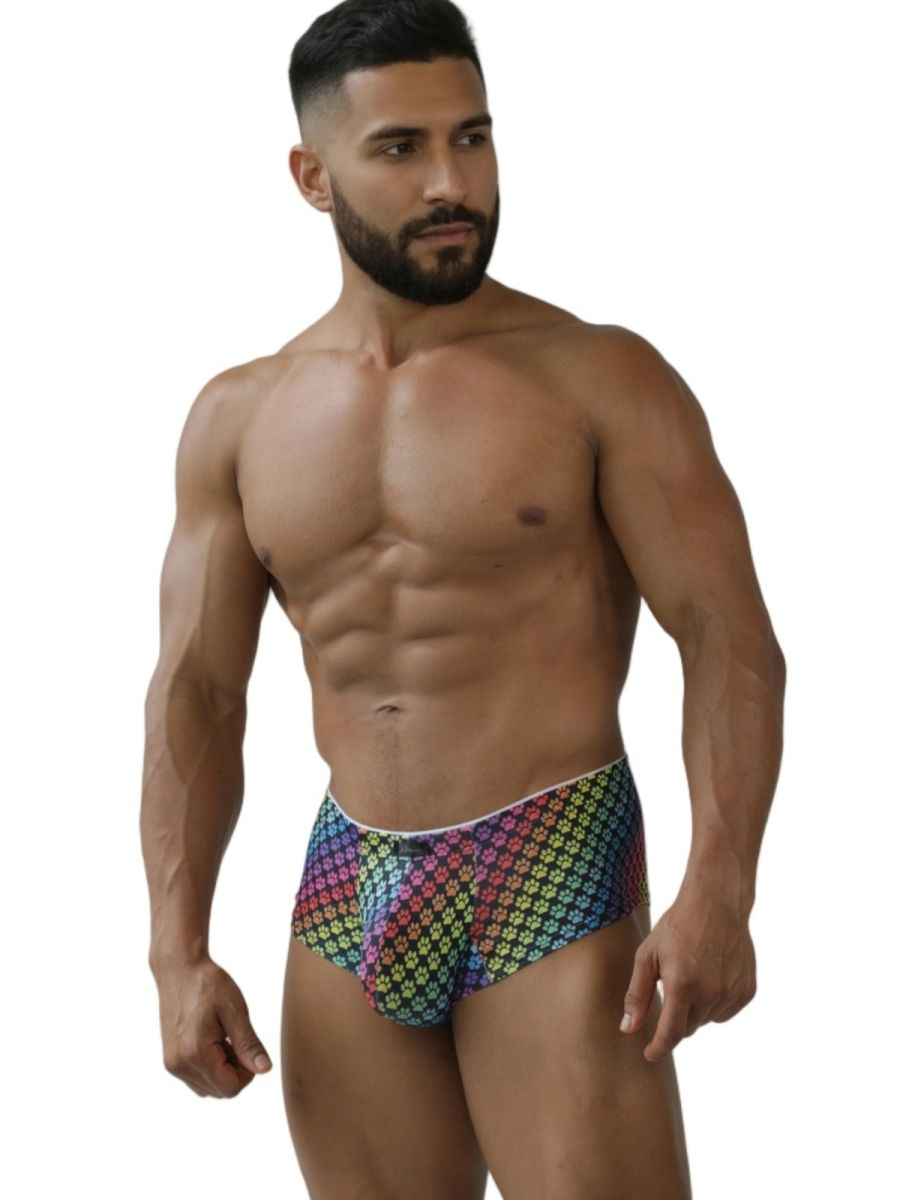 Xtremen 91283 rainbow printed microfiber briefs for men with geometric rainbow pattern and white trim color paw print