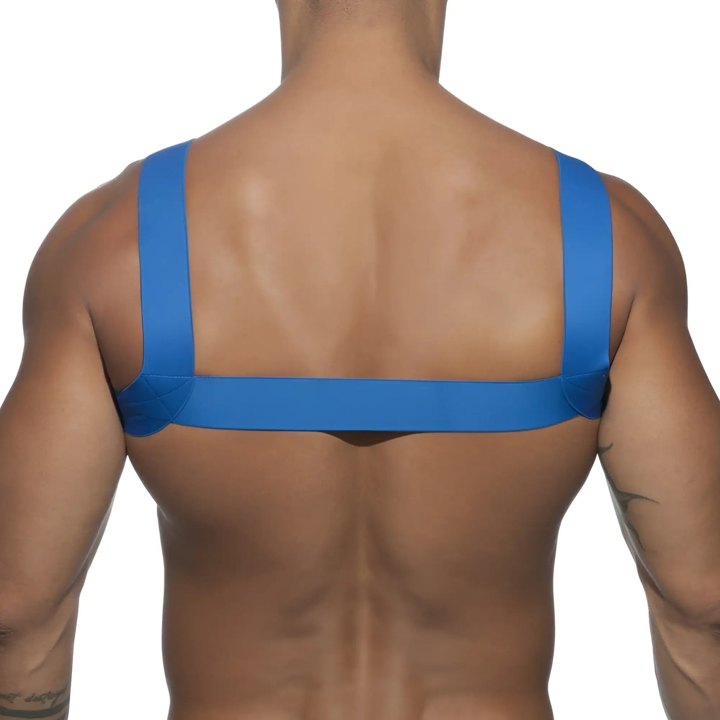 Blue elastic strap ad basic harness shown from the back made for secure fit and comfort