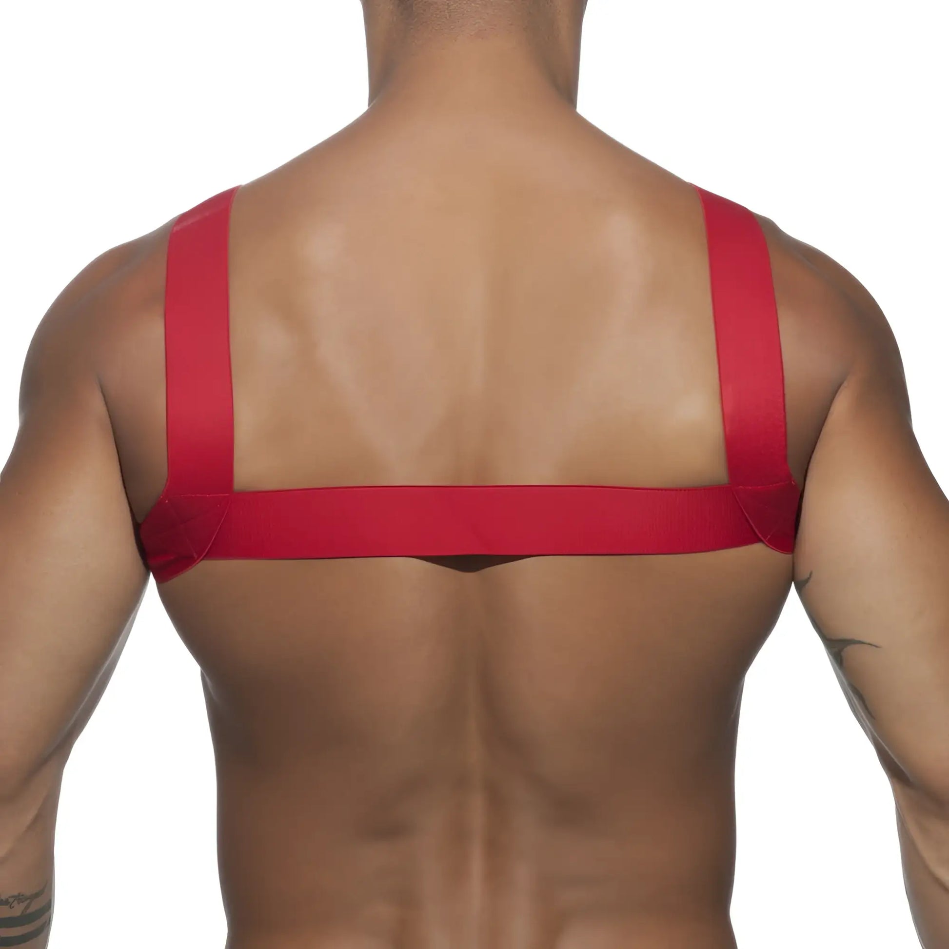 Red fabric ad basic harness worn across the back featuring adjustable straps for secure fit and comfort