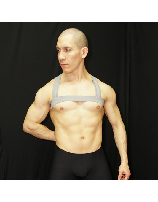 Arroyman Men's Body Chest Harness - Grey ARNS02