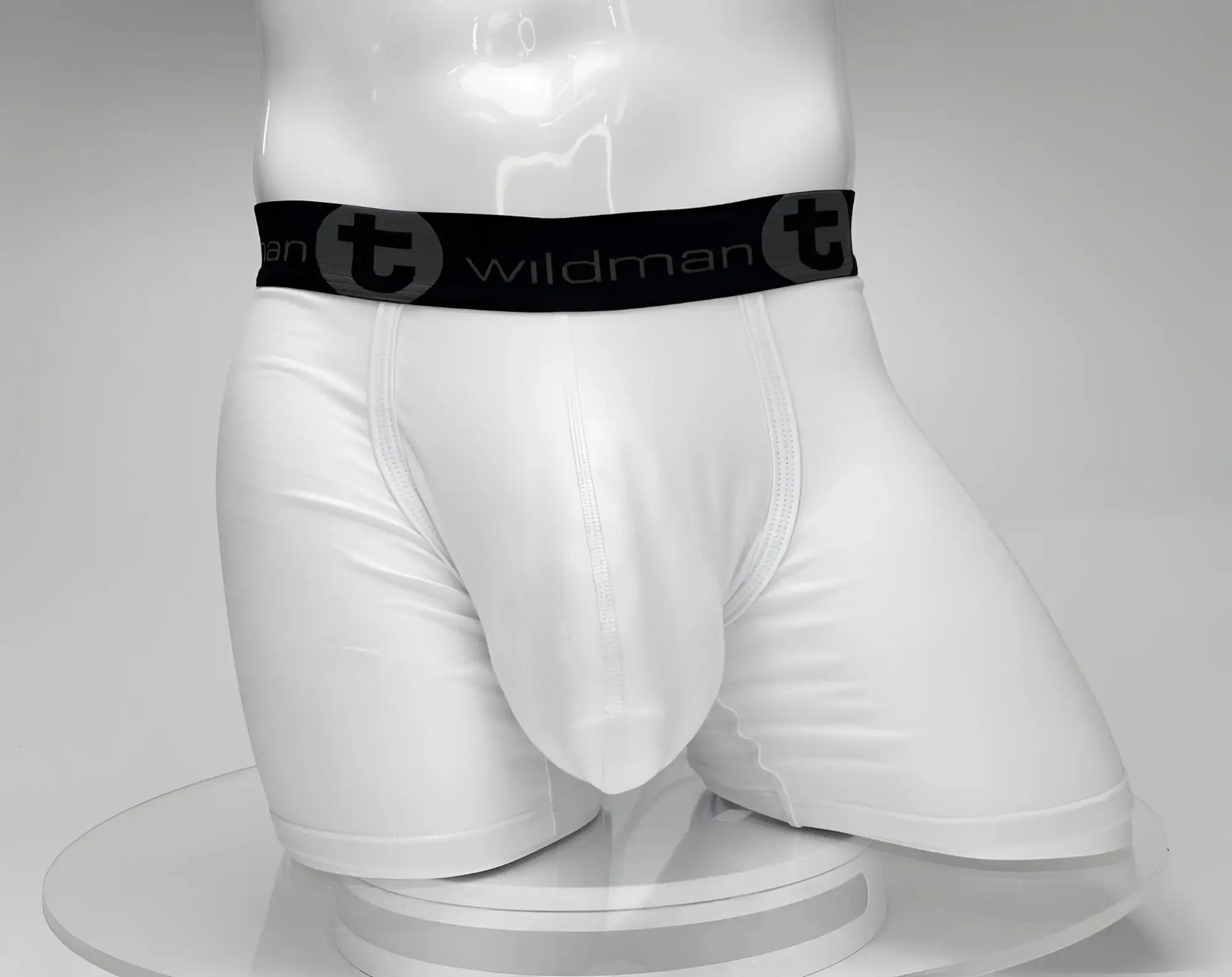 White men’s big boy pouch boxer briefs with 5 inch inseam black wildman waistband and stylized t emblem