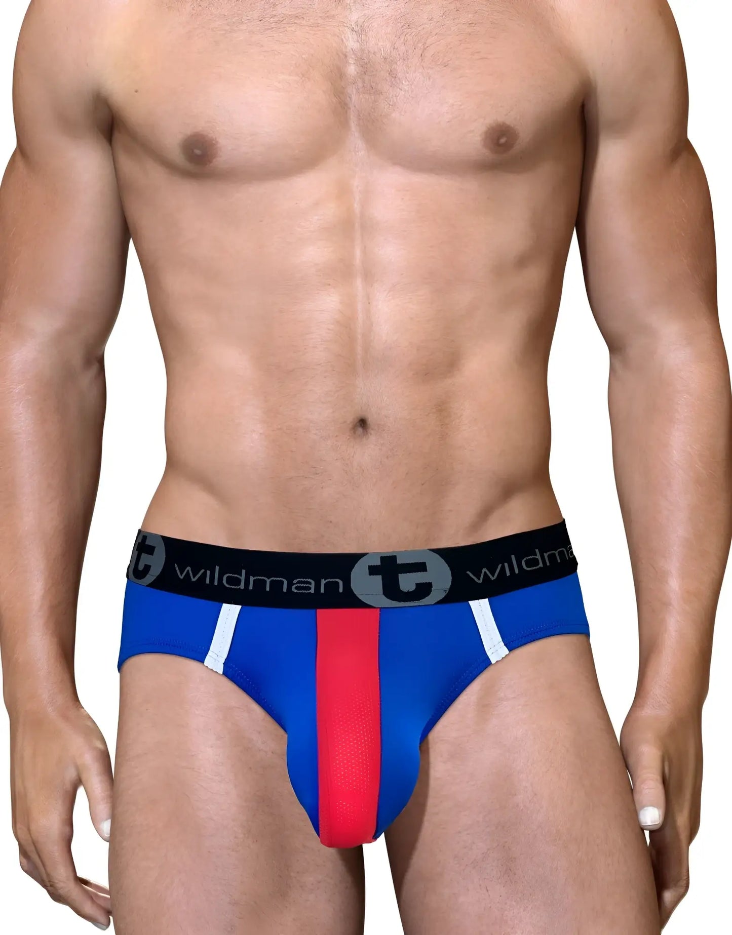 Blue and red big boy pouch mesh brief with white stripes and black wildman waistband in royal red white and blue