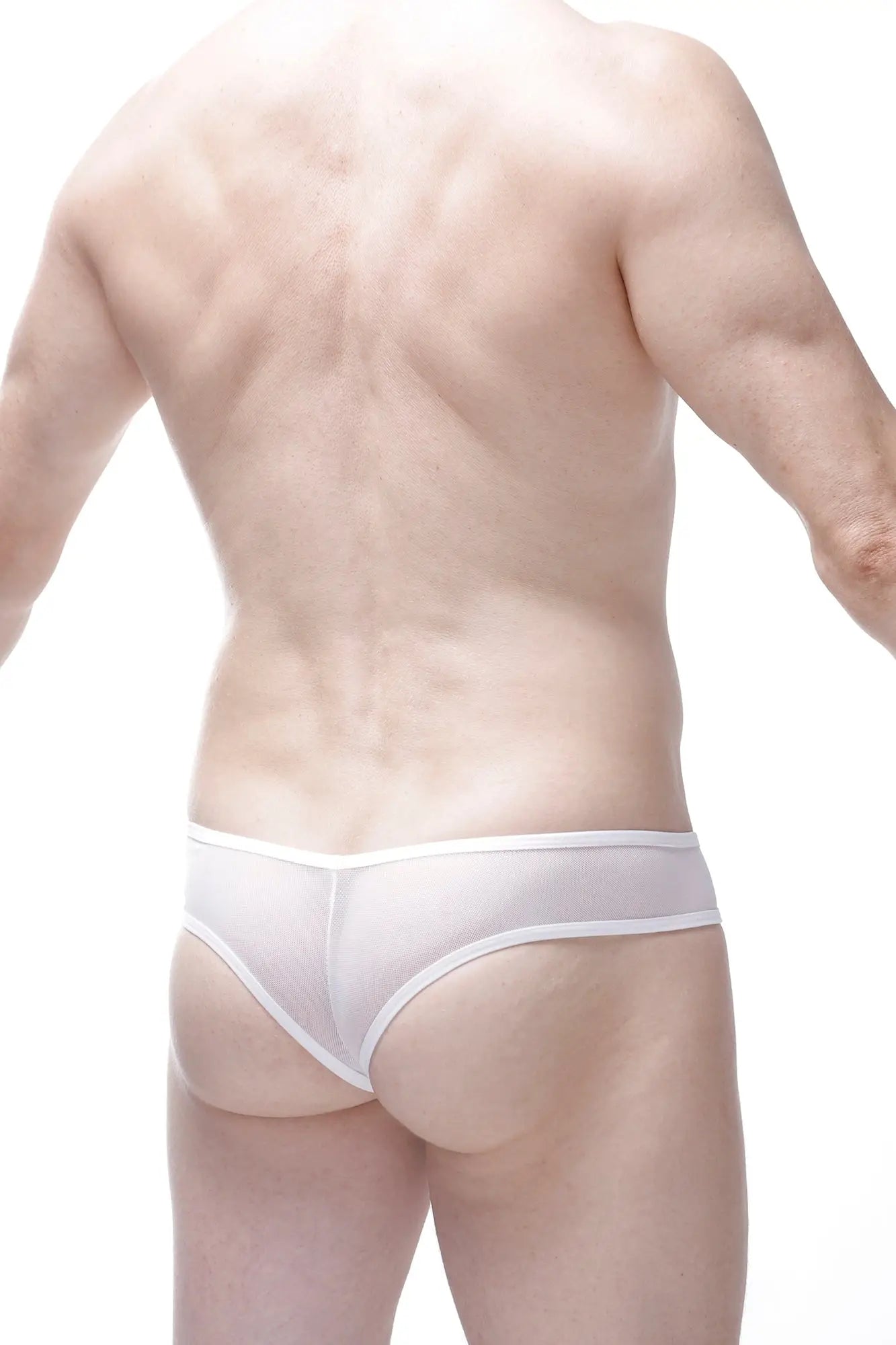 White sheer mesh bikini bavent kitty briefs with thin white waistband showing front side