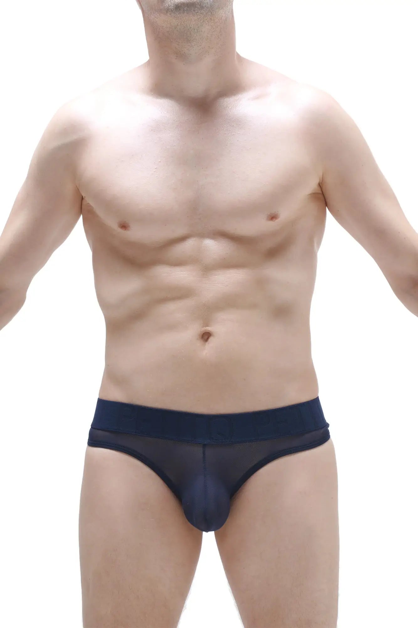 Navy blue bikini chisa net sheer mesh briefs with solid navy waistband shown from the back side