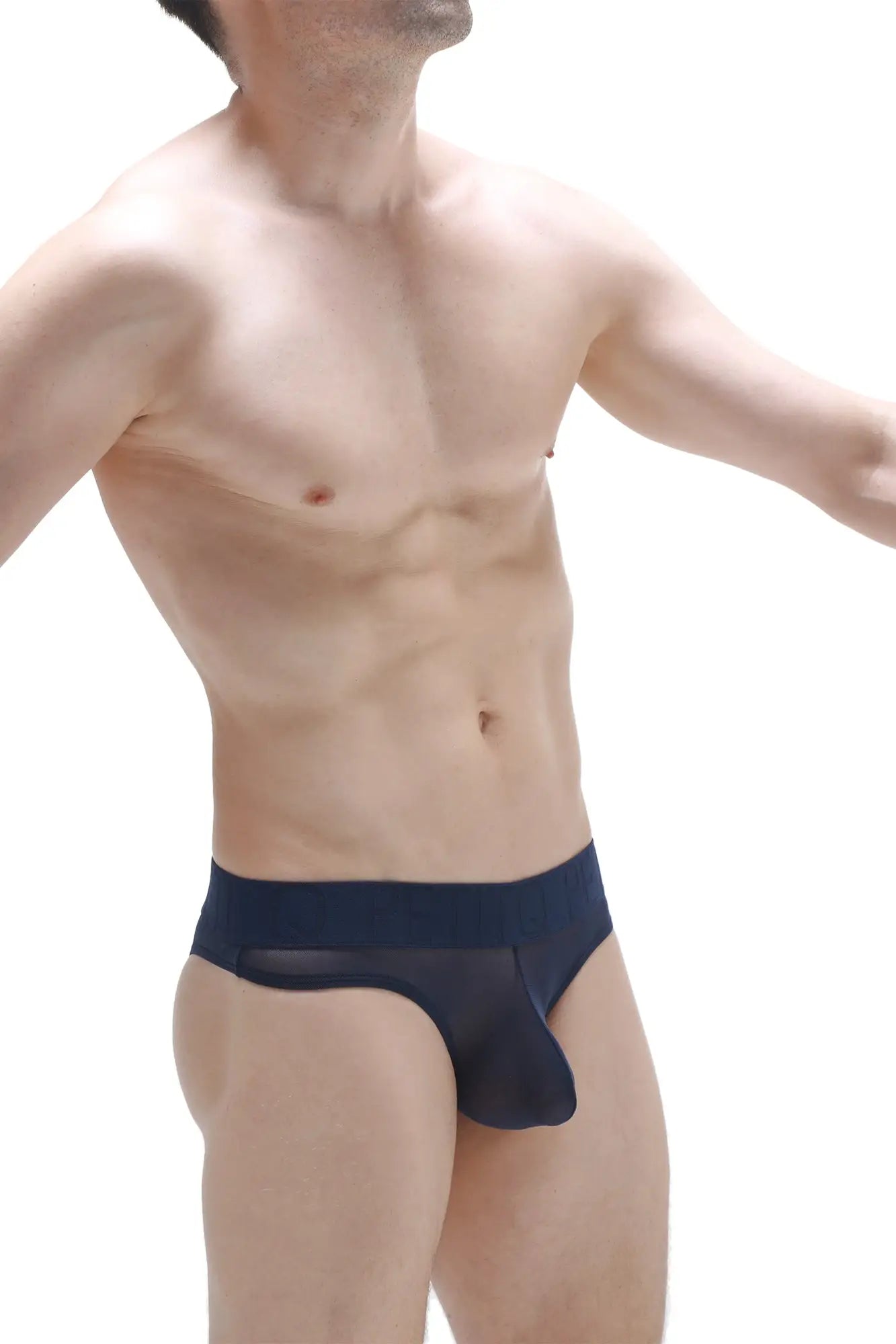 Navy blue sheer mesh briefs with a solid waistband bikini chisa net navy front view