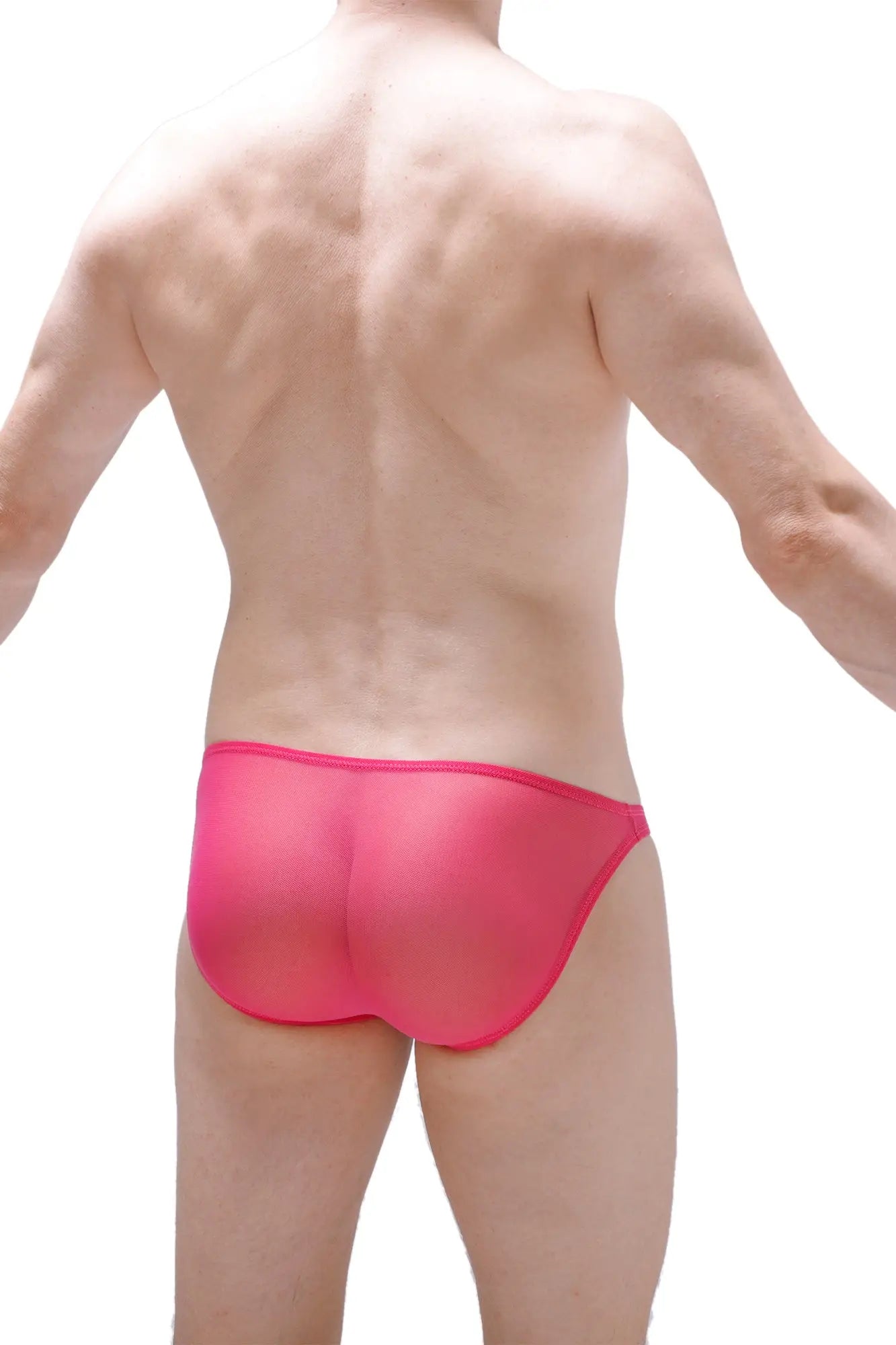 Bikini dumbo net fuchsia translucent mesh briefs in bright pink showing front design and delicate fabric details