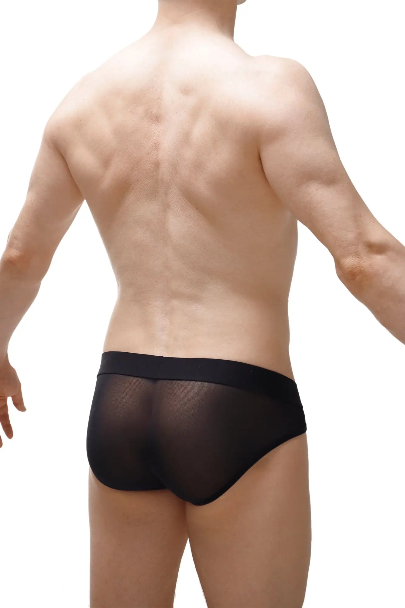 Black sheer mesh briefs with solid black waistband from bikini lagny leopard rainbow collection