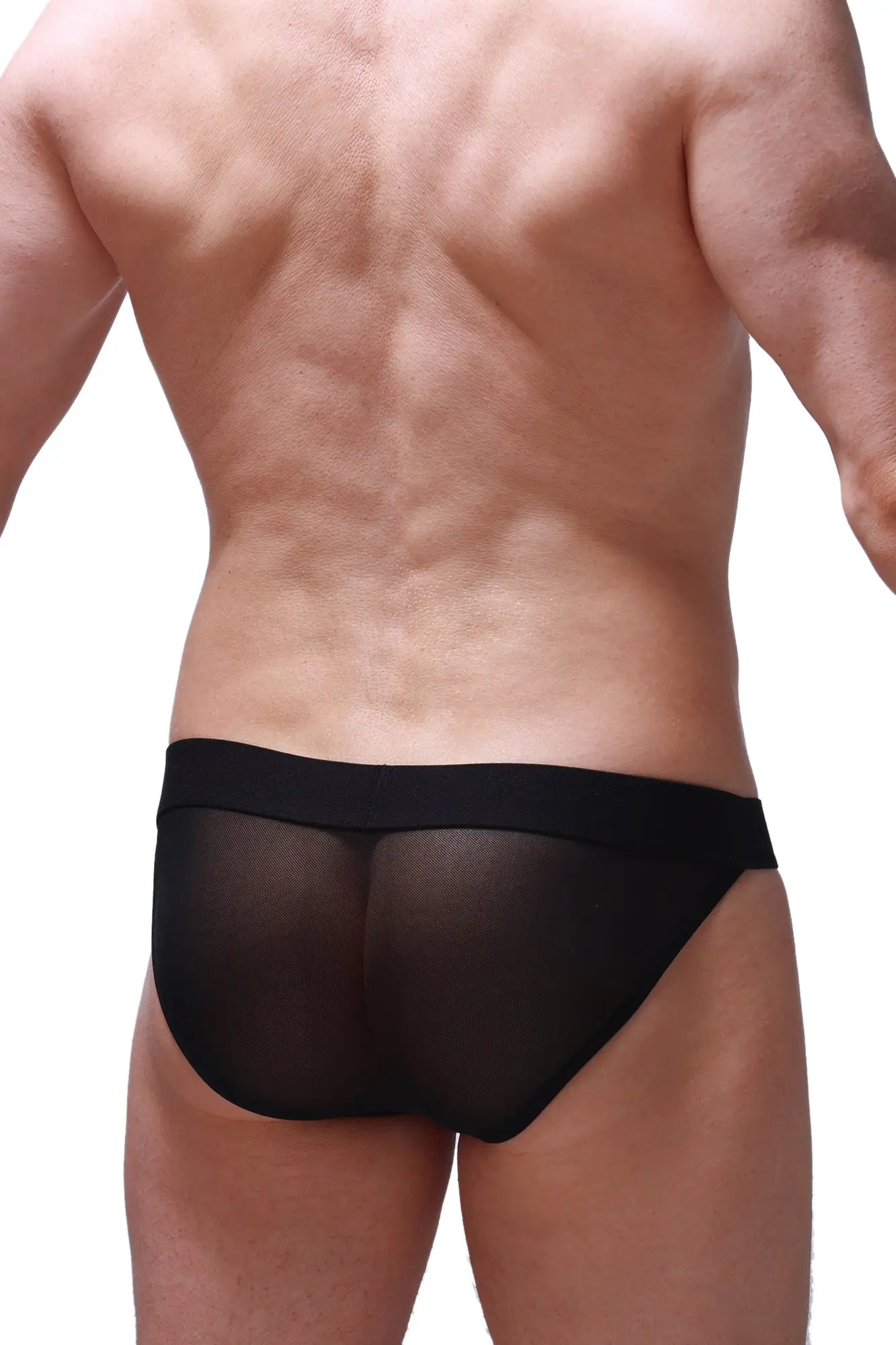 Black sheer mesh briefs bikini menhir net black with solid black waistband for a stylish comfortable fit