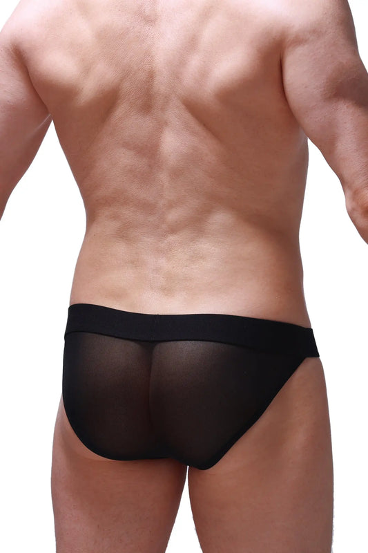 Black sheer mesh briefs bikini menhir net black with solid black waistband for a stylish comfortable fit
