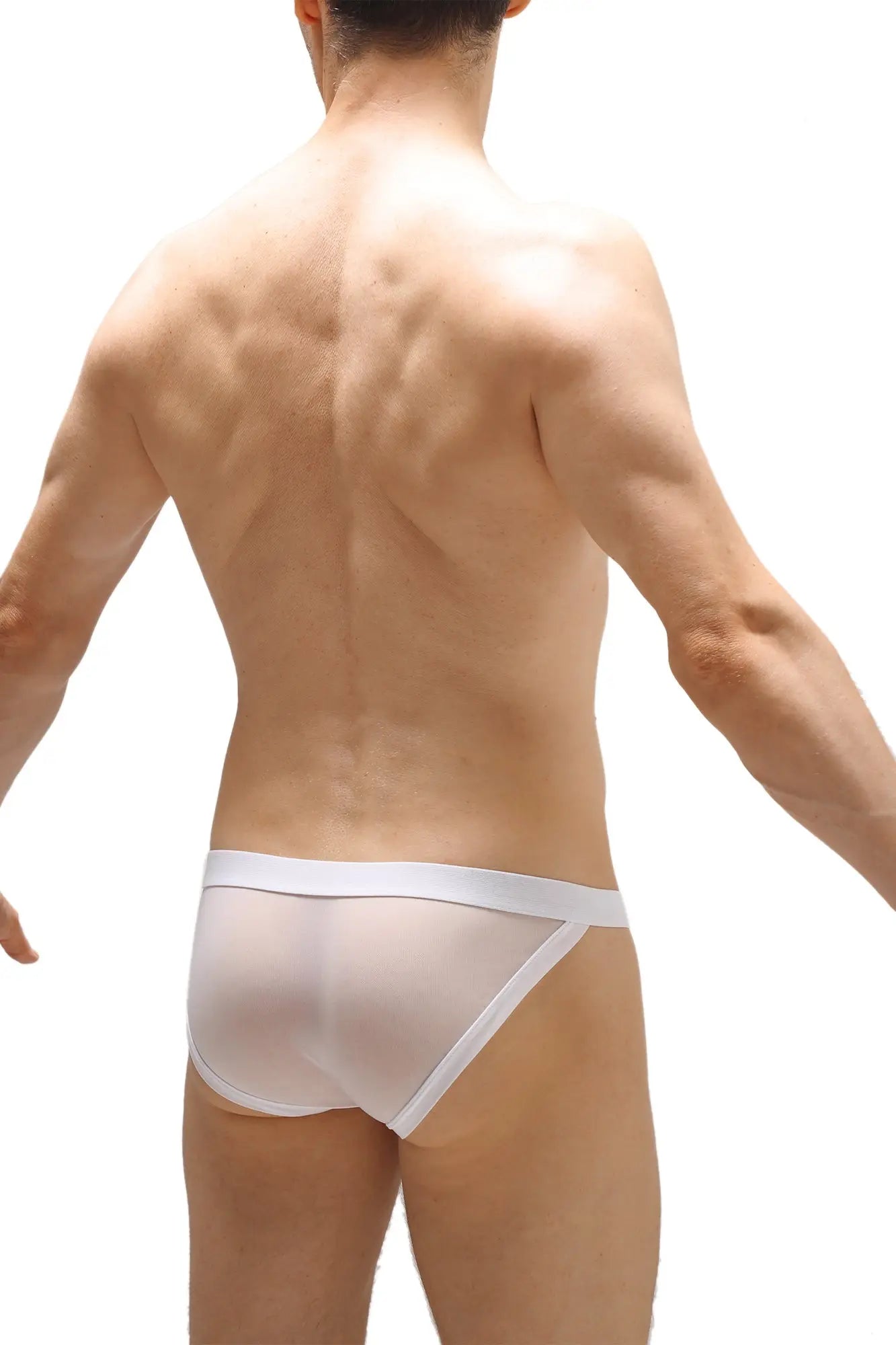 White sheer mesh briefs bikini merpins white with solid white waistband front view