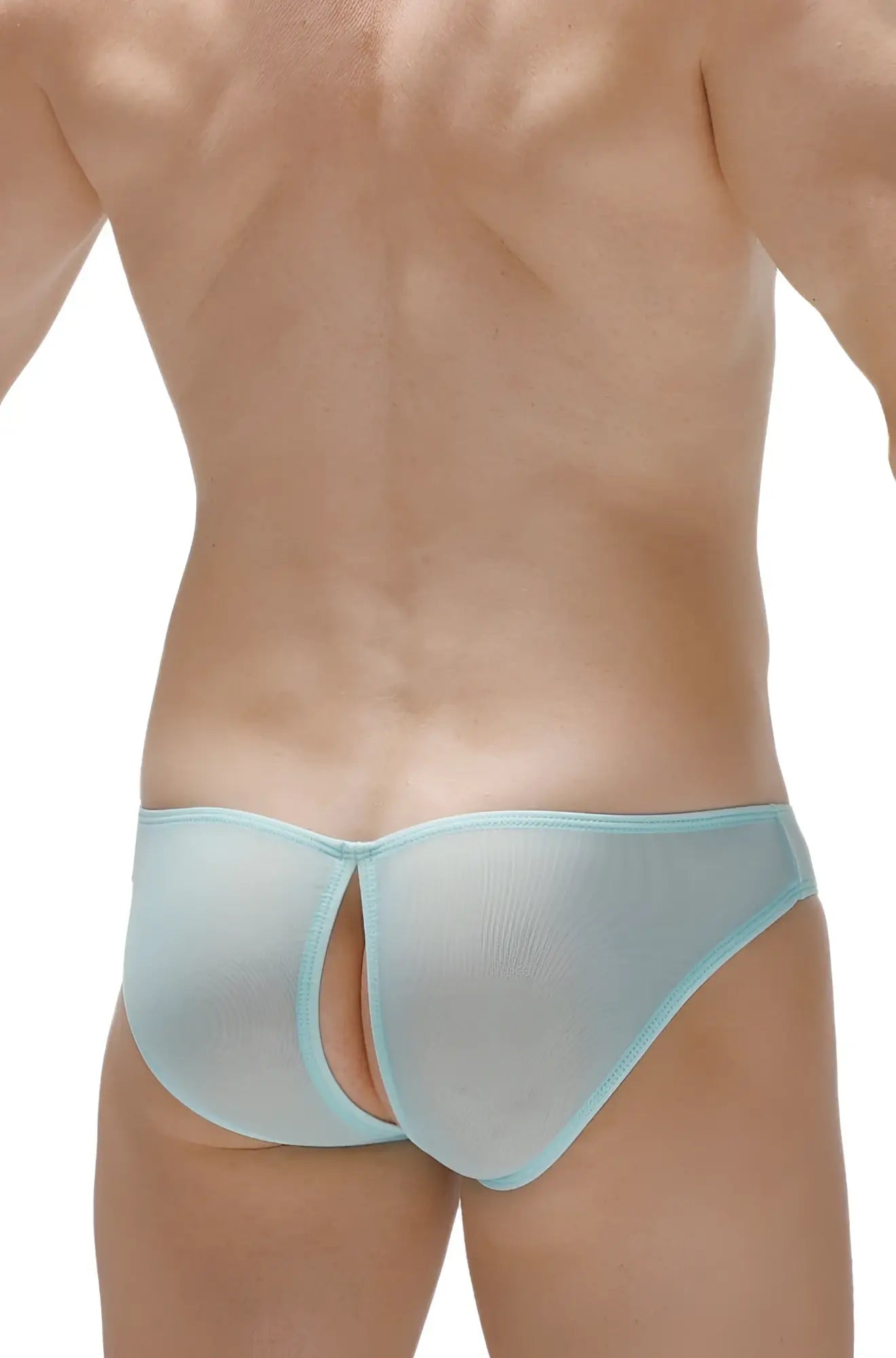 Light blue sheer mesh briefs with a thin matching elastic waistband bikini poncy net teal style