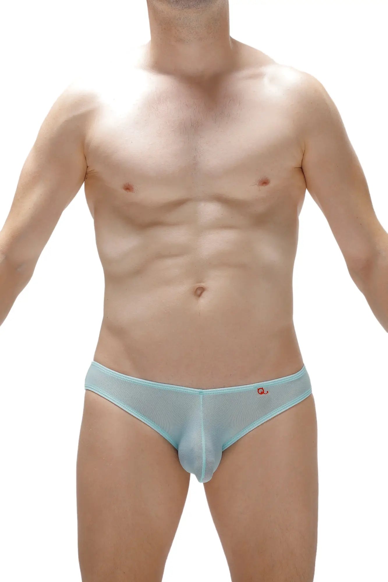Light blue sheer mesh bikini briefs with small red logo on waistband in poncy net teal style