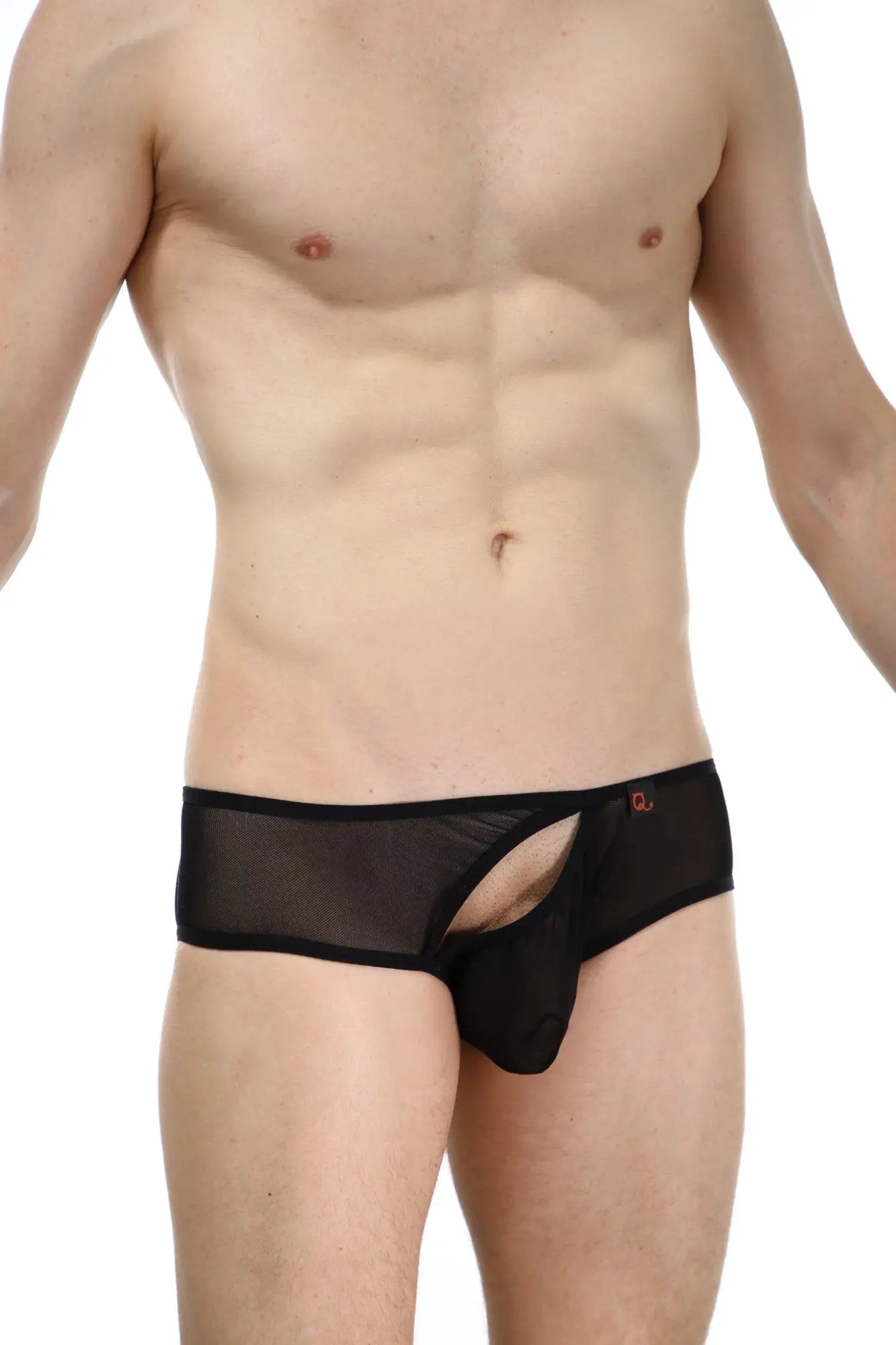 Black sheer mesh briefs bikini rift net black with central cutout and black elastic waistband front view