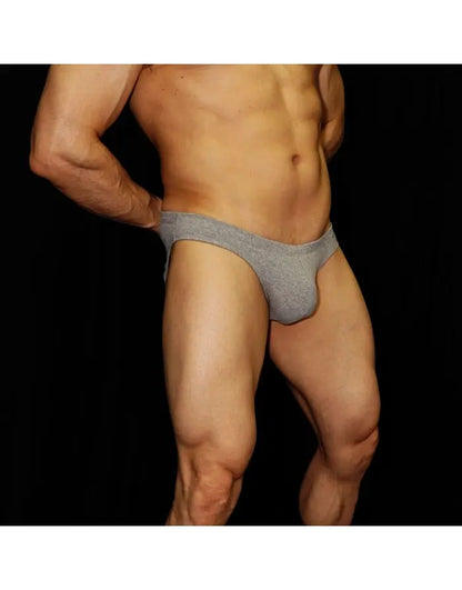 Arroyman Men's Melange Bikini Underwear ALG006S