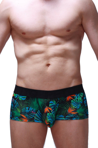 Boxer Chill Source Tropical