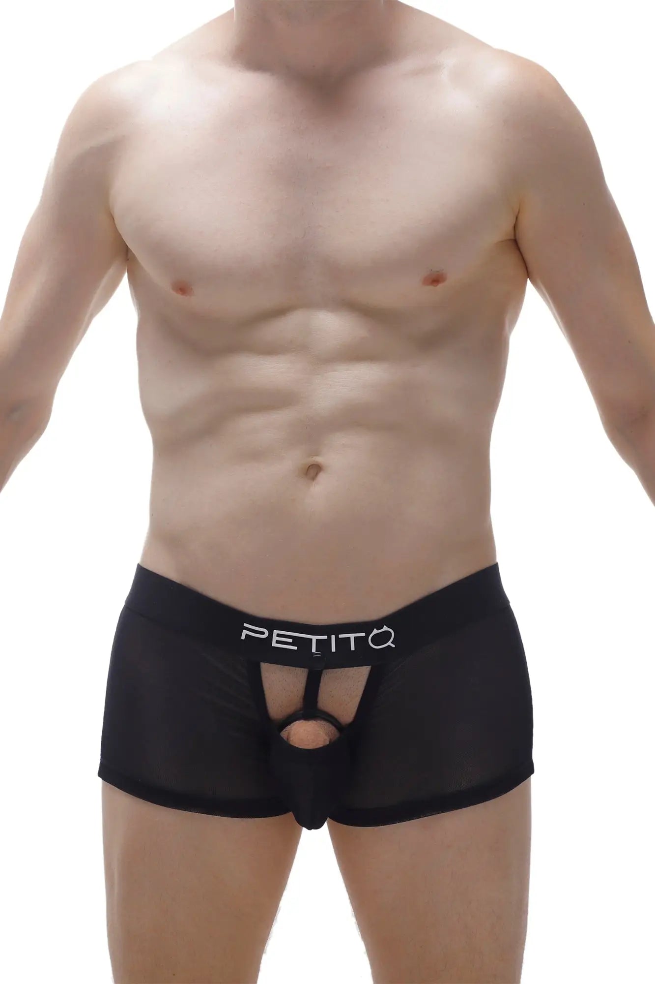 Black petitq men’s briefs with sheer mesh front and central cutout featuring a detachable cockring design